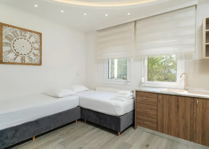 Nikolas * Chrysi Ammoudia